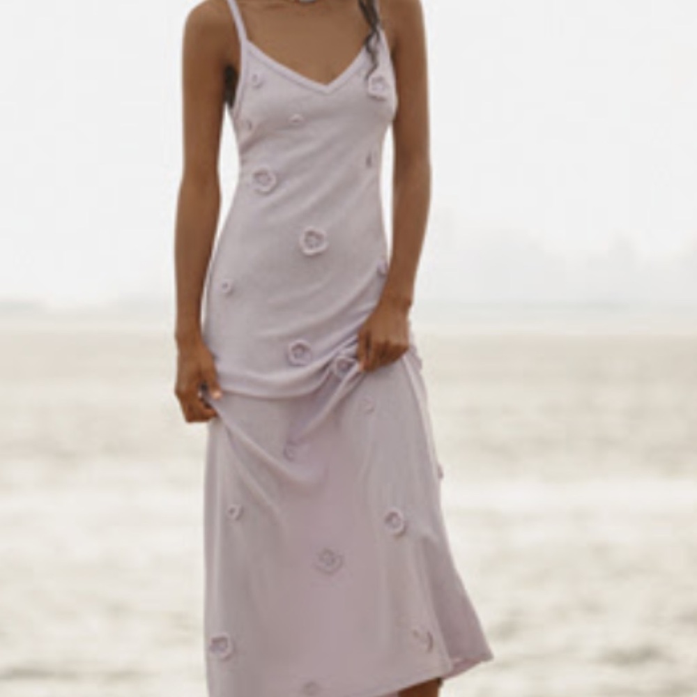 Blithe dress (Anthropologie)